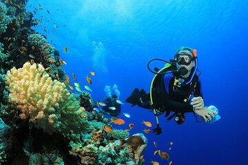 Intro Diving Full-Day Boat Trip, Lunch & Transfers - Hurghada