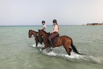 Horse Riding Tour For 3 Hours, Swimming By Horse - Hurghada