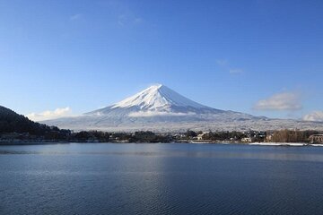 Mt Fuji & Hakone Cruise, Drum Show Bus 1 Day from Tokyo Sta. Area