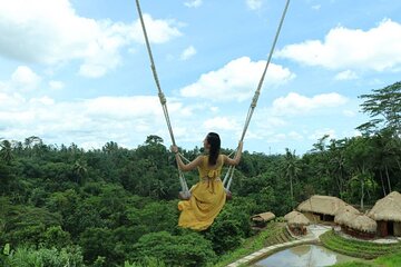 Ubud Tour With Bali Swing All Inclusive 