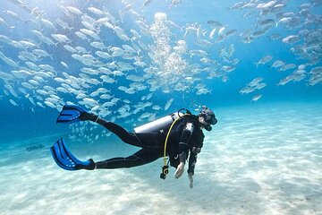 Advanced PADI Diving Course with Lunch & Transfer – Hurghada