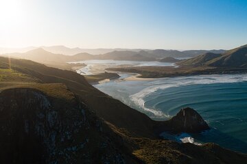 Otago Peninsula In-Depth Tour & Blue Penguins Pukekura Experience