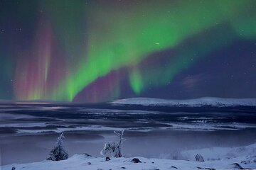 Northern Lights Hunting Photography Tour in Levi