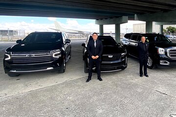 Private Transfer To/From Miami Intl Airport & Port of Miami