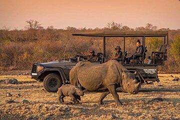  Morning or Afternoon Game Drive In Victoria Falls 