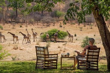  Morning or Afternoon Game Drive In Victoria Falls 