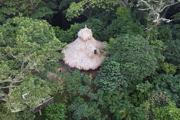 3-Day Private Tour of Taorayiná Ecolodge and Nature Reserve