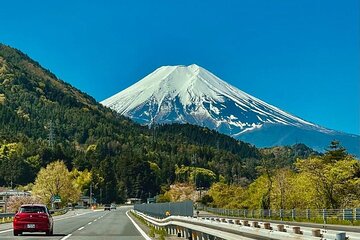 Mount Fuji Private Day Trip with English Speaking Guide