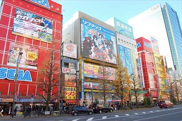 Private Akihabara Anime Guided Walking Tour 