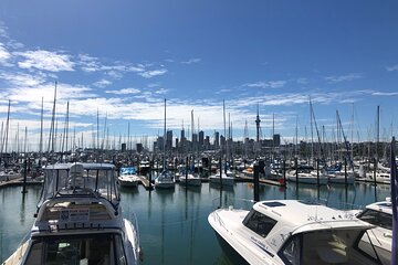 Private Auckland Half Day Tour