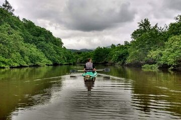 Kayaking to the Islands & mangroves in Paraty