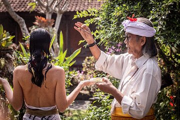 Ubud Tour with Monkey Forest & Balinese Healing