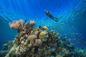 Magawish Island Snorkeling Trip With Lunch From Hurghada