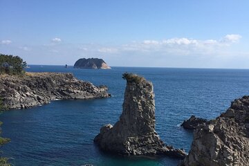 Handam Coastal Road & Camellia Hill - Private Tour west of jeju