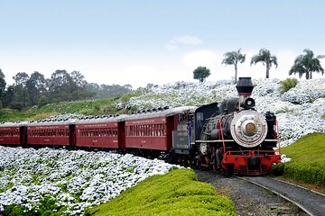 Maria Fumaça Train Tour Including Lunch