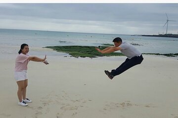 Jeju Tour in Woljeongri Beach & Stone park & Dongmun Market