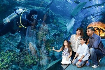 Dubai Mall Aquarium and Underwater Zoo Tickets with Transfers