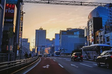 Private Tokyo Shinjuku Bus Tour with Licensed Guide