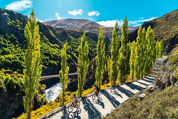 Bike The Wineries Full Day Ride - Queenstown