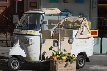 Private tour of limoncello igp with tasting by the sea