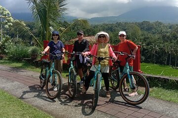 Jatiluwih E-bikes Tour Cycling Group