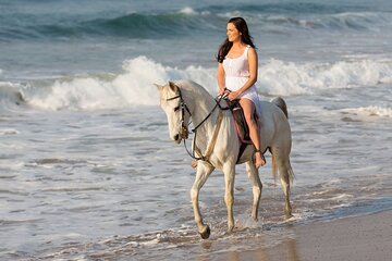 NEW! Cabo Shore Excursion: Beach Horseback Ride & Tequila Tasting