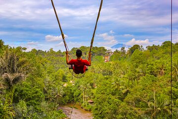 Swing & Swim at D’tukad Blangsinga and Ubud Temple Tour