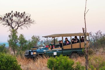 5 Day Luxury Shishangeni Lodge Experience