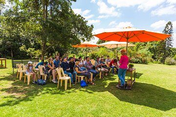 Kaimbethu Tea Farm Tour and Lunch Package