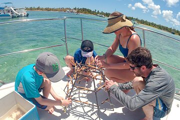 Snorkel Lovers for All Ages & Premium Seafood Lunch in Punta Cana