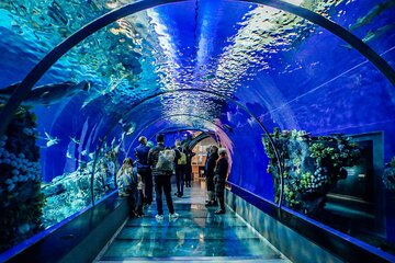 Hurghada Grand Aquarium Tour with Skip the Line Ticket 