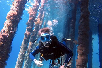 Private Scuba Diving Adventure in the Red Sea of Aqaba