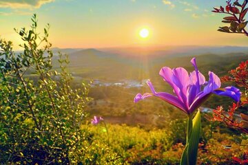 Algarve Sunset Experience - Half Day Jeep Safari Trip