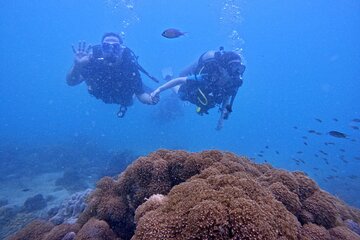 SCUBA DIVING OPTION For Beginners in Phu Quoc Island 