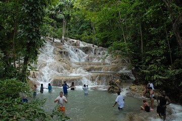 Private Dunn's River Falls Tour in Ocho Rios