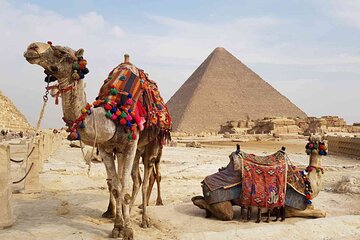 Day Trip To Cairo From Sharm El Sheikh By Plane