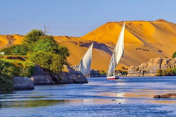 Botanical Garden & Elephantine Island by Felucca