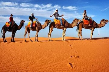 Erg Chebbi 1 Night luxury Camp and camel Trekking Desert Camp 