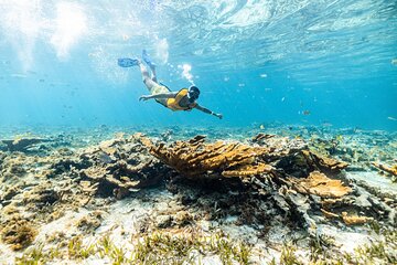 Total Snorkel and Jet Ski tour over Cancun Bay 
