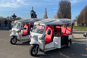Original Private E-Tuk tuk Tour