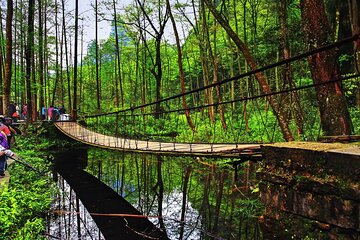 Full-Day Private Tour of Zhangjiajie National Forest Park