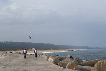 Nazaré E-Bike Rental 4h