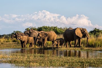 4 Days Kruger National Park Tour from Johannesburg