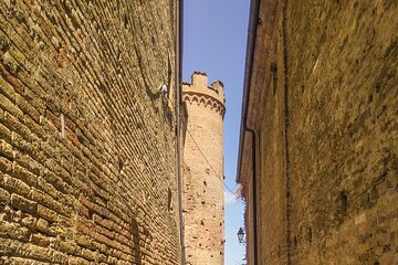 Private E-bike Tour "Monferrato di Canelli" - Asphalt only