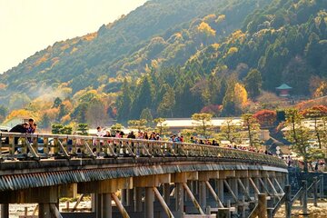 Kyoto & Nara Day Tour: Golden Pavilion, Fushimi Inari & Deer Park