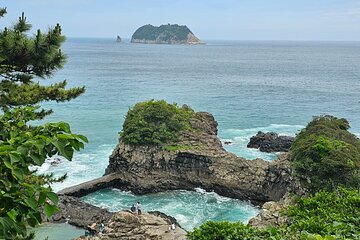Small group Private Day Tour - South of Jeju Island