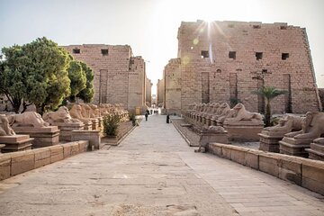 Private Guided Tour to Karnak and Luxor temples