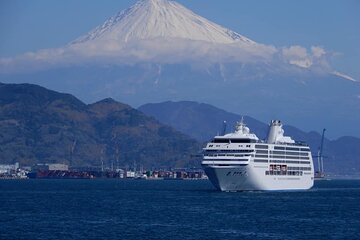 Half Day Private Sightseeing Tour Around Shimizu Port 