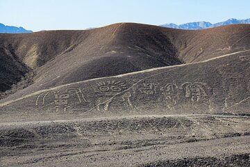 Private Tour Miradores Palpa Nazca with Nazca Lines Overflight