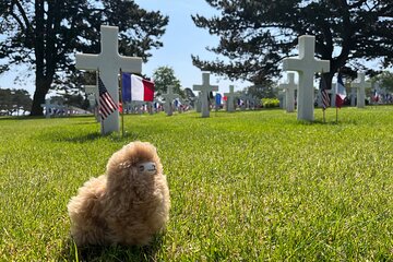 Normandy D-day landing beaches & Caen Memorial Private Tour 